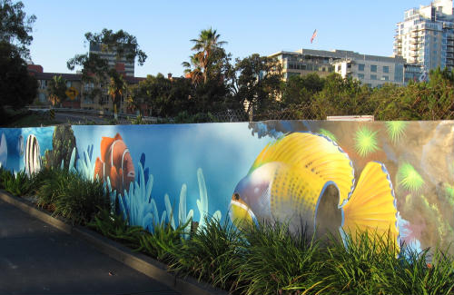 colorful fish survive out of water