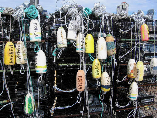 lobster traps with ropes and colorful floats