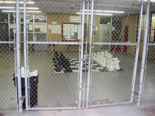 nearly forgotten san diego chess club