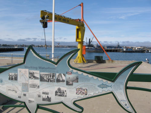 watch commercial fishermen unload their catch