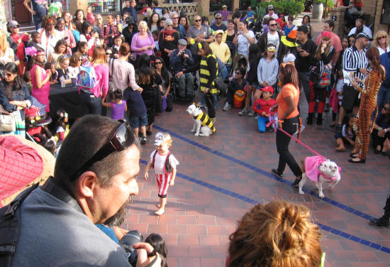 kids and dogs in costume at seaport village
