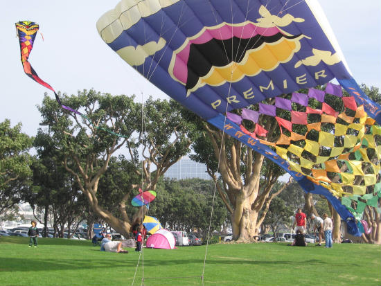 big colorful kite in park by seaport village
