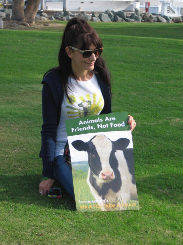 cows are friends not food sign