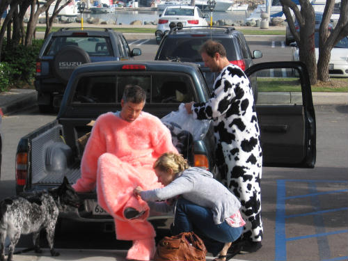 men dress as a pig and cow to support animals