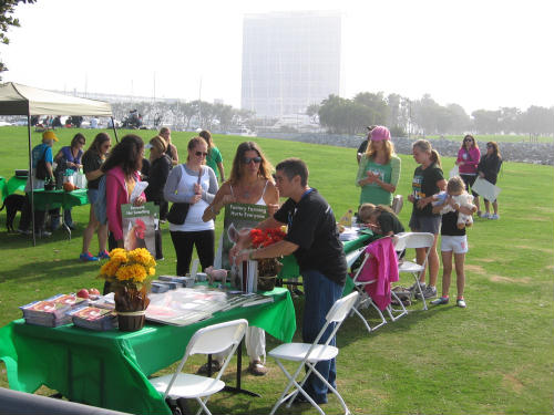 san diego walk for farm animals attendees