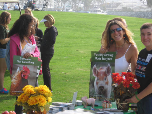 sign proclaims that a rooster is someone