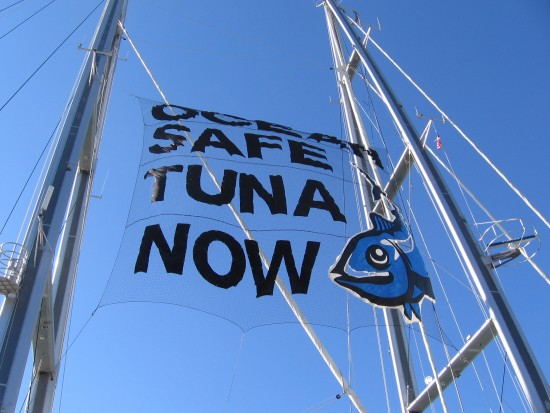ocean safe tuna now banner between masts of rainbow warrior