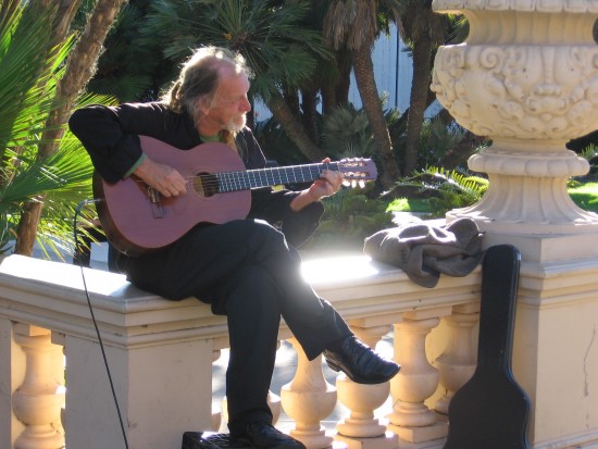 guitar player on bridge by reflecting pool