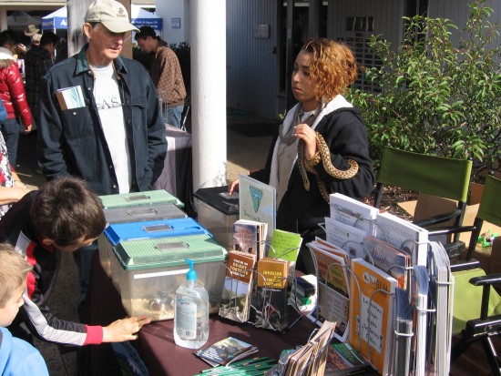 02 Nonprofit organizations display info in front of Visitor Center for Cabrillo centennial.