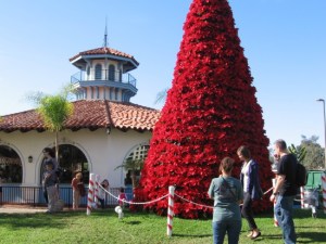 Poinsettia Christmas tree by Seaport Village carousel.