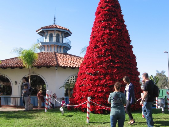 Poinsettia Christmas tree by Seaport Village carousel.