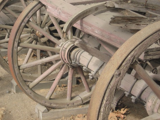 Peering through old wagon wheels.