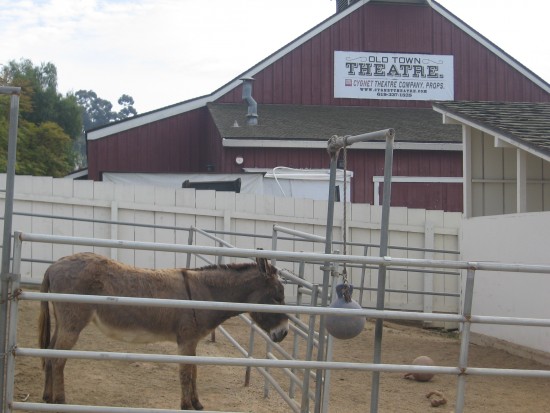 Donkey awaits young visitors to historic Seeley Stable.