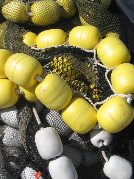A beautiful image of sinuous yellow floats.