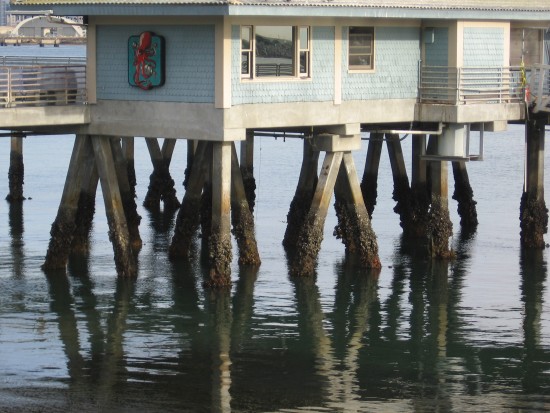 Shelter Island pier seems to stand on watery reflections.