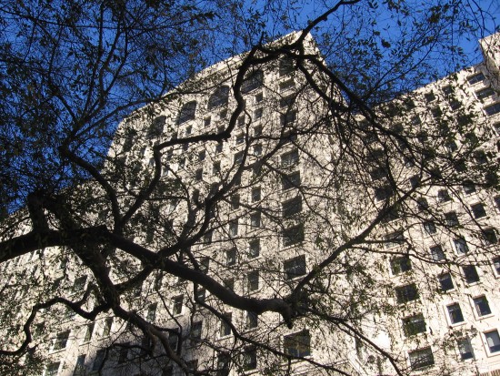 Westin San Diego Gaslamp Quarter building behind branches.