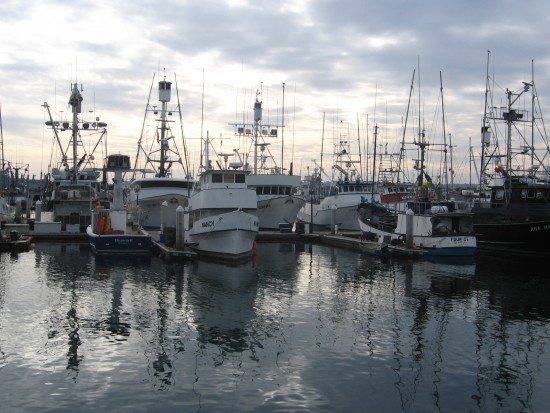 Boats in tuna harbor between splashes of light.