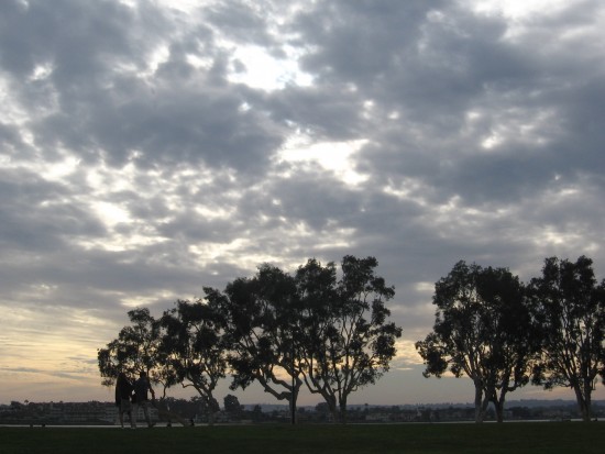 Late afternoon clouds above trees by the bay.