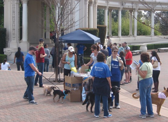 San Diego Humane Society has volunteers at the event.