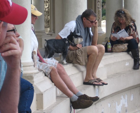 People and pooches enjoy the organ concert from the colonnade.