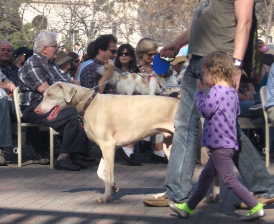 Activity is non-stop even during the fun concert.