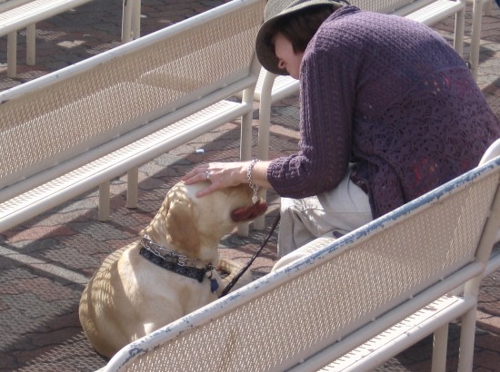 The unconditional love that dogs give.