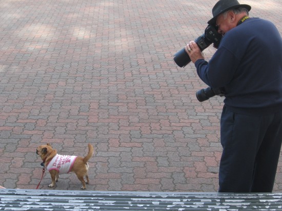 Spreckels Organ Society photographer hard at work.