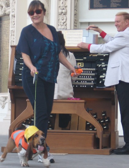 This funny beagle was a real crowd pleaser.