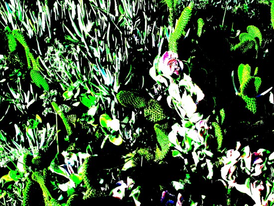 I fiddled with contrast, darkness and color saturation.