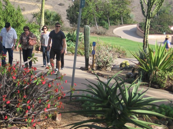 People take a walk through Balboa Park cactus garden.