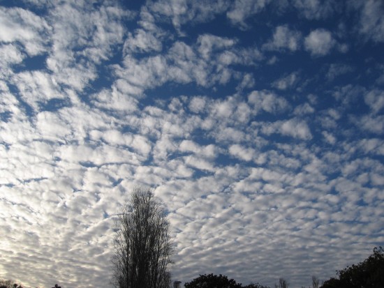 Scale-like clouds above Mission Valley.