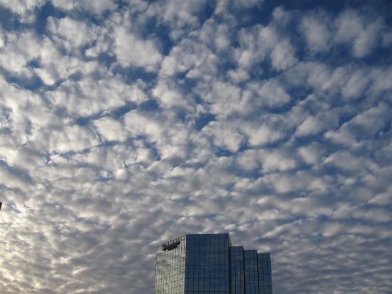 Looking upward at endlessly changing beauty.