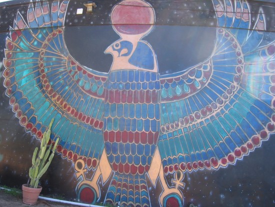 Exotic falcon with spread wings.