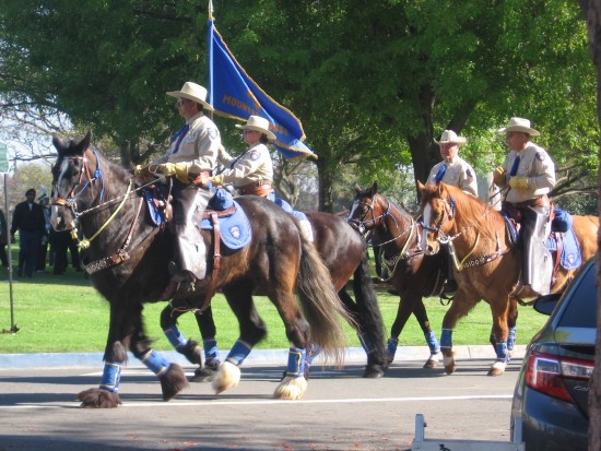 Mounted participants in San Diego's St. Patrick's Day Parade.