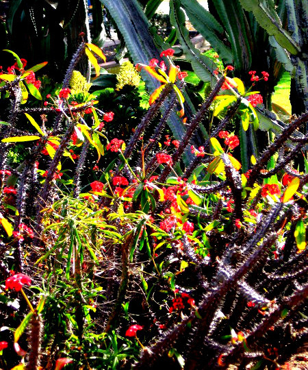 I played with the brightness and contrast.