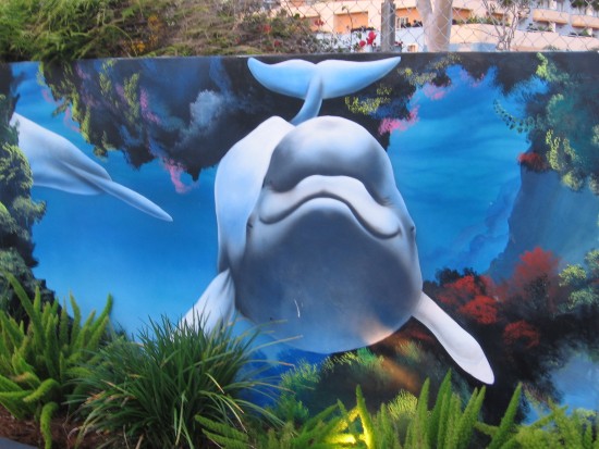 This dolphin is swimming right next to those flowers!