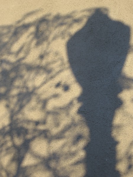 Shadows on wall cast by tree and street light.