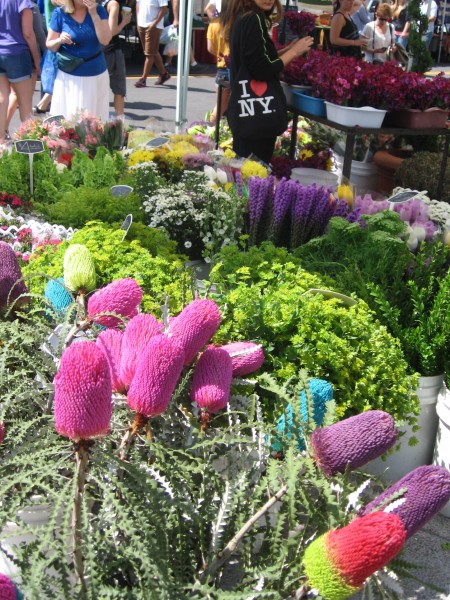 Endless bright flowers can be found at the Mercato.