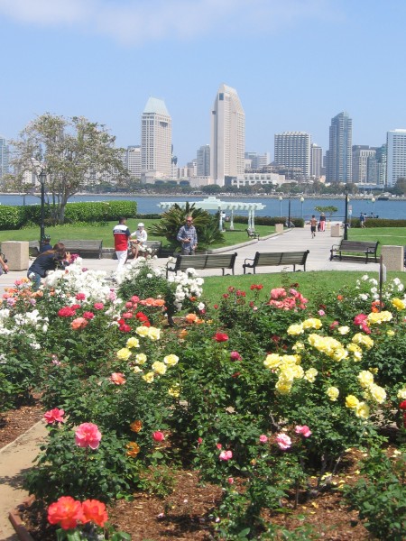 Looking over roses near the nostalgic old ticket booth.