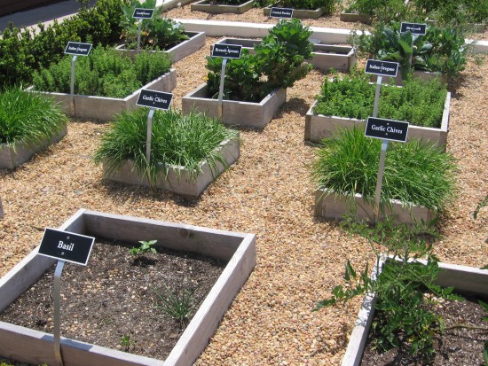 This herb garden is used for the hotel restaurant.