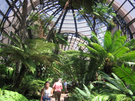 Visitors walk quietly through the cathedral-like space.