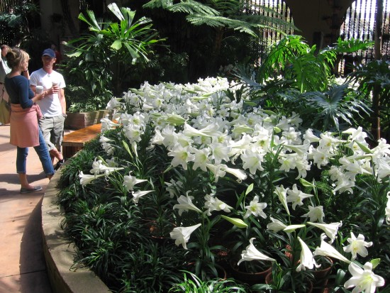 Botanical Building visitors near display of Easter lilies.