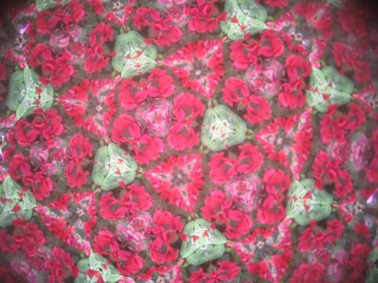 Revolving the bowl turns flowers and leaves into amazing patterns.