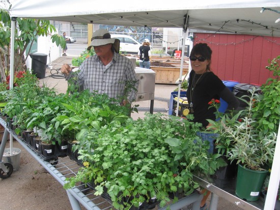 Happiness is working in a beautiful urban garden.