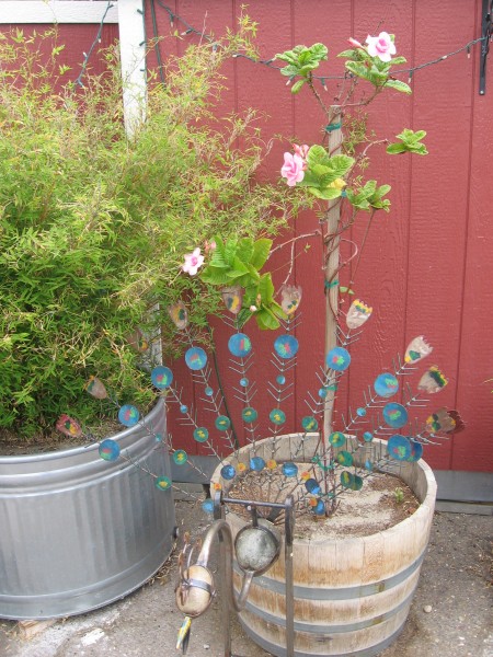 Lots of fun stuff to see!