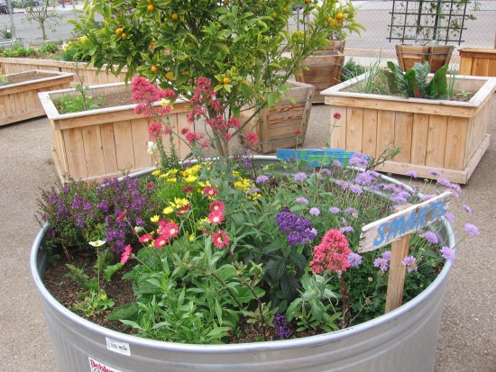 Look at this big old tub of color!