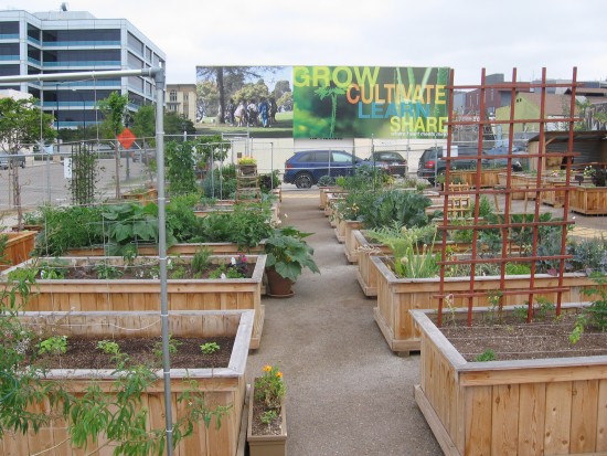 Grow, Cultivate, Learn, Share.