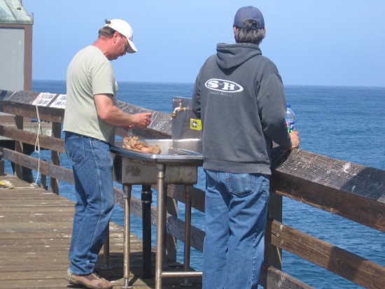 Fisherman cuts bait at one of the public sinks.
