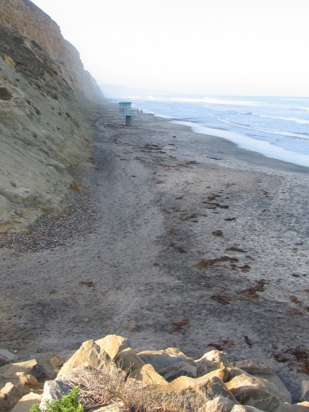Looking south along Torrey Pines State Beach.