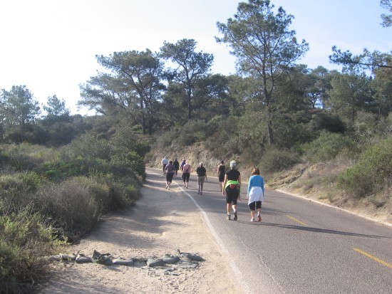 Entering a zone full of endangered Torrey pines.